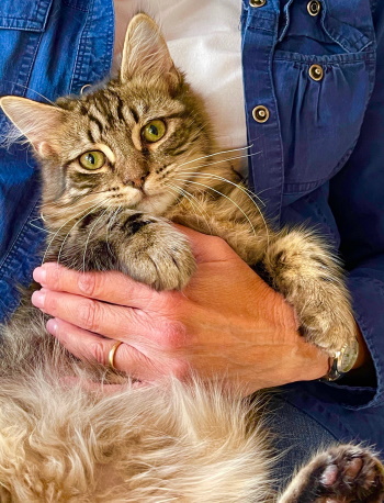 Reginald (and Sweetie Pie)